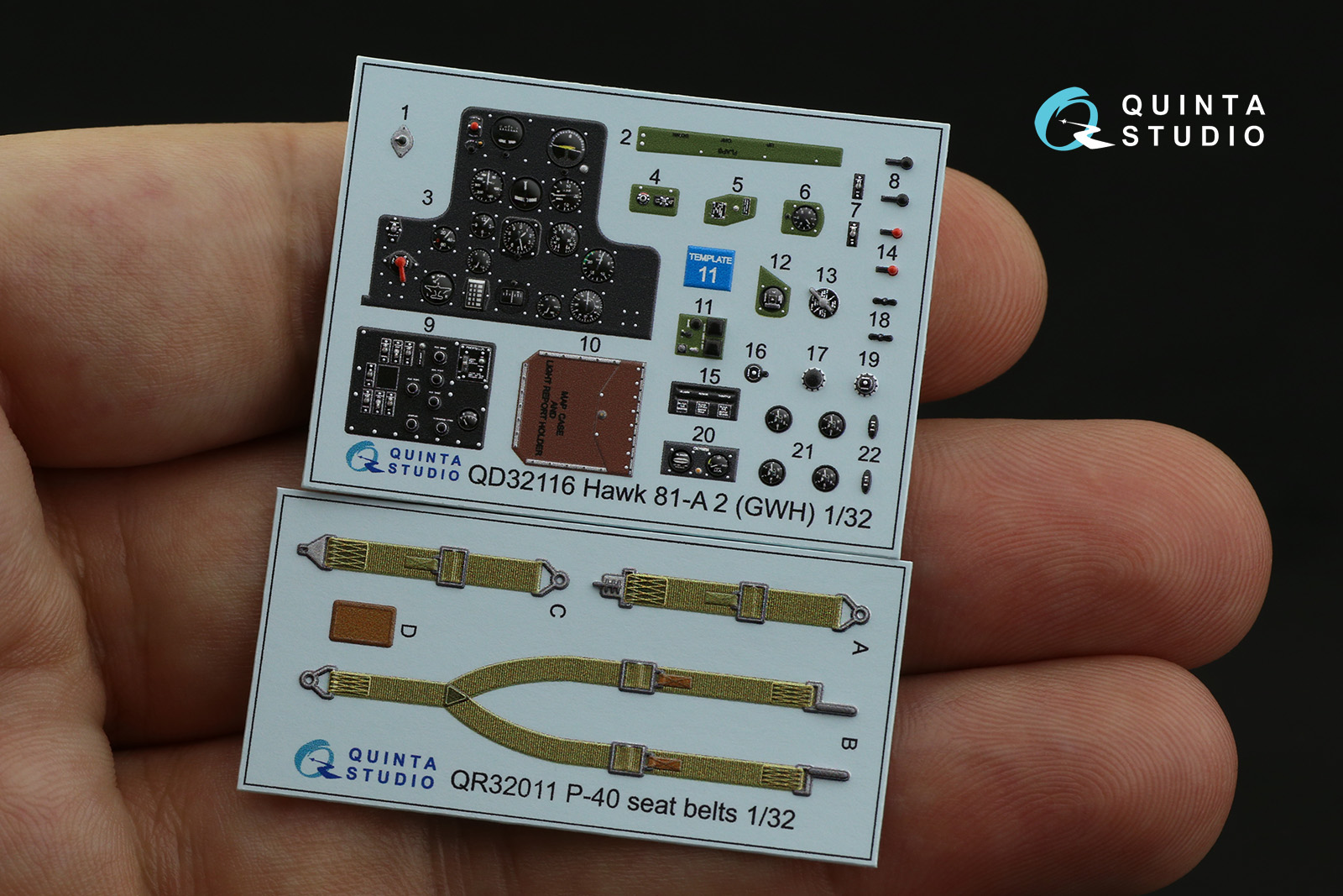 QD32116 3D Декаль интерьера кабины Hawk 81-A2 (GWH)