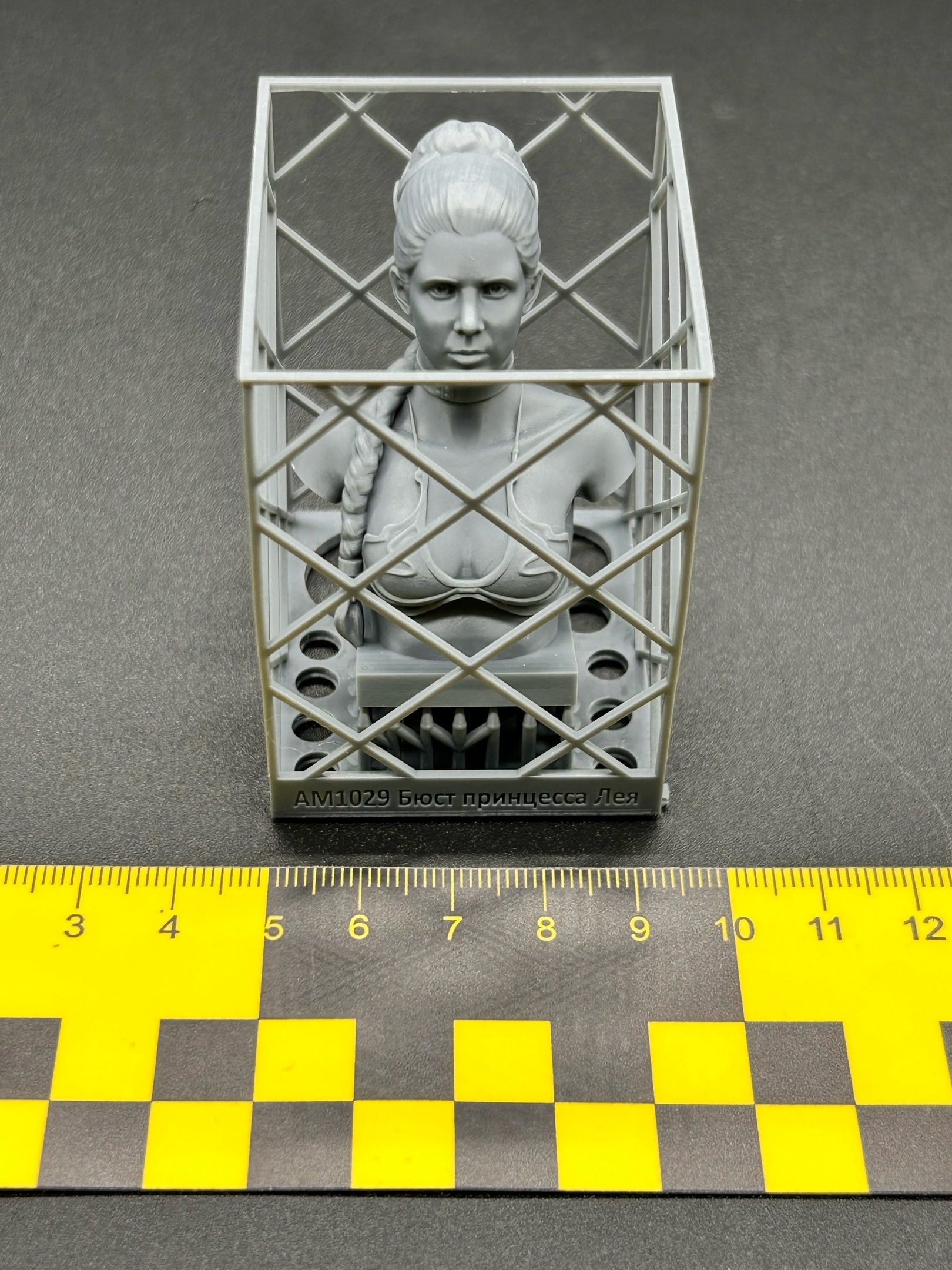 AM1029 Бюст принцесса Лея