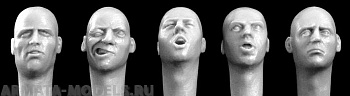 HH25 5 more european heads