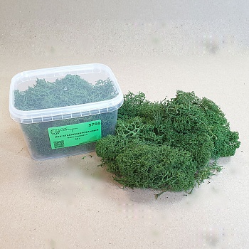 5705 мох стабилизированный - 30 г - темно-оливковый