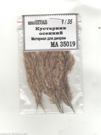 35019 Кустарник осенний