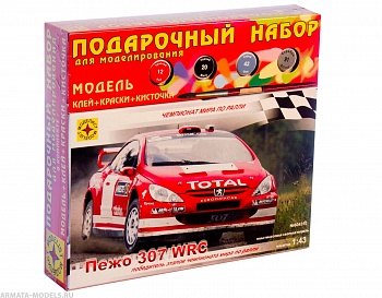 ПН604310 Автомобиль Пежо 307 WRC (1:43)
